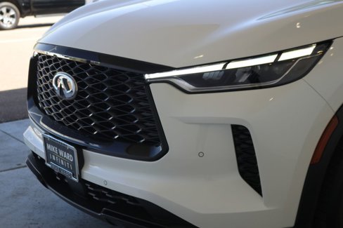 New 2025 INFINITI QX60 Luxe w/ Black Edition image 11