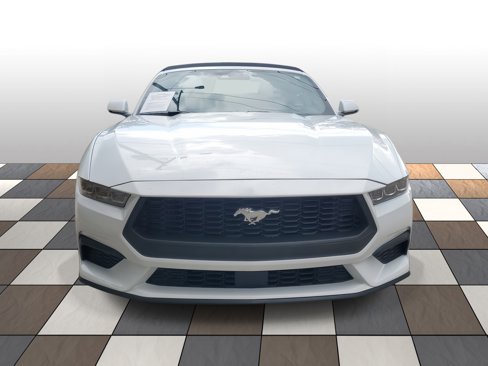 Used 2024 Ford Mustang Premium image 2