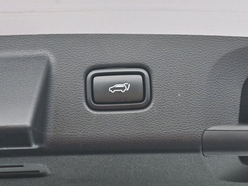 Used 2021 Kia Telluride SX w/ SX Prestige Package image 10