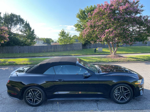 Used 2020 Ford Mustang Premium image 7