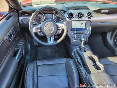 Used 2023 Ford Mustang Premium image 13