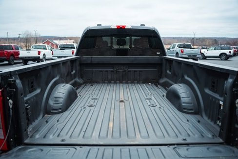 Used 2024 Ford F450 Platinum image 15