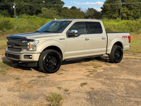 Used 2018 Ford F150 Platinum w/ Equipment Group 701A Luxury image 1