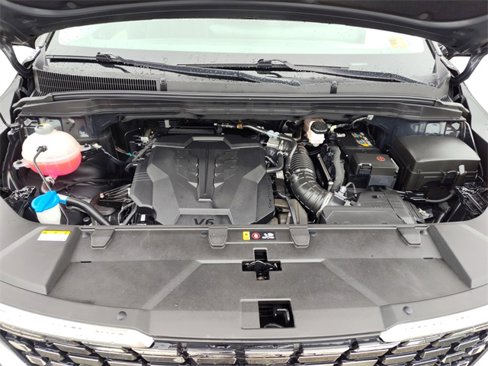 Used 2024 Kia Carnival SX Prestige image 21
