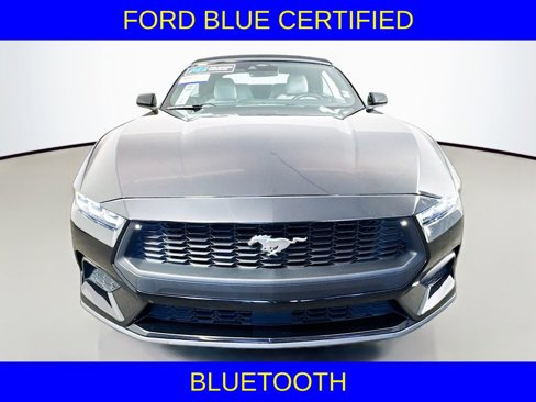 Certified 2024 Ford Mustang Premium image 2