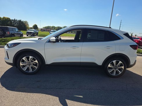 Used 2024 Ford Escape Platinum w/ Premium Technology Package image 4