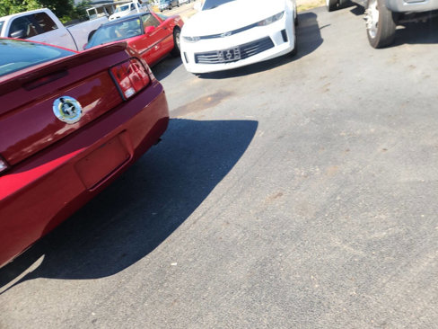 Used 2008 Ford Mustang Premium image 5