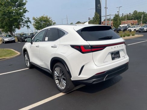 New 2026 Lexus NX 350 AWD w/ Luxury Package image 5