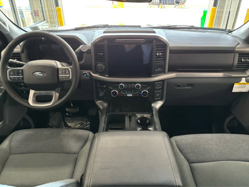 New 2025 Ford F150 XLT w/ Equipment Group 302A MID image 7