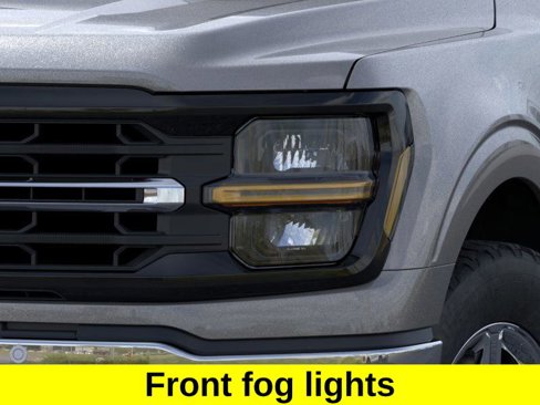 New 2025 Ford F150 XLT w/ Equipment Group 302A MID image 19