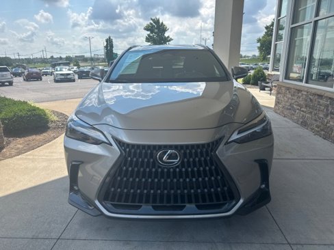 Used 2024 Lexus NX 350 AWD image 4
