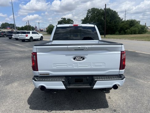 New 2025 Ford F150 Tremor image 4
