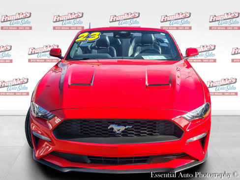 Used 2023 Ford Mustang Premium image 4