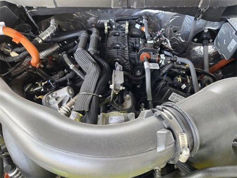 New 2025 Ford F150 XLT w/ Equipment Group 301A Standard image 28