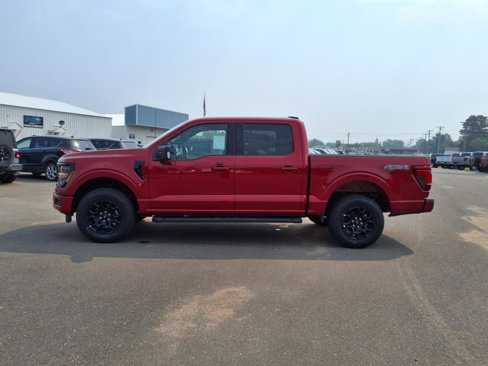 New 2025 Ford F150 XLT w/ Equipment Group 302A MID image 2