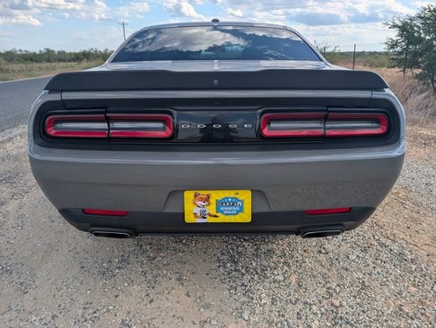 Used 2017 Dodge Challenger SXT w/ Blacktop Package image 7