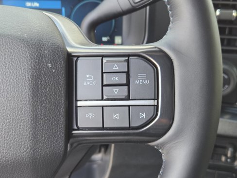 New 2026 Ford F250 Platinum image 19