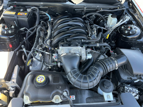 Used 2009 Ford Mustang GT Premium image 17