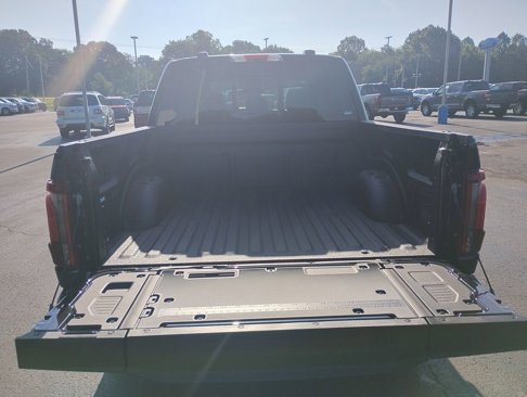 New 2025 Ford F150 Platinum w/ Equipment Group 702A High image 15