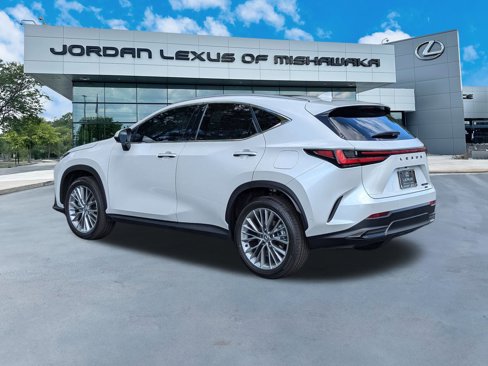 Used 2025 Lexus NX 300h AWD w/ Luxury Package image 3