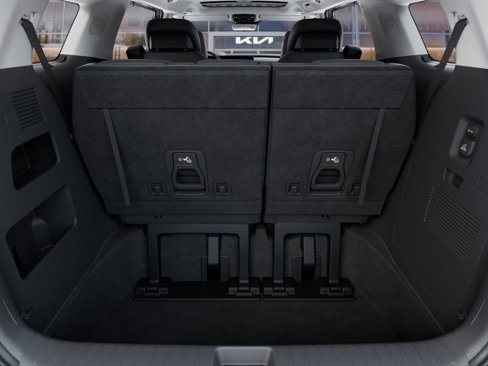 New 2025 Kia Carnival SX Prestige image 19