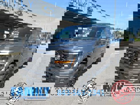 New 2025 Ford F150 STX image 1