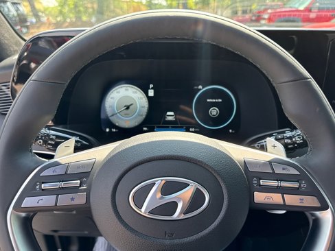 New 2025 Hyundai Palisade Calligraphy image 19