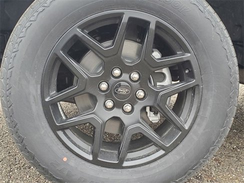 New 2025 Ford F150 STX w/ STX Black Appearance Package image 12