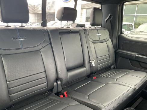 New 2025 Ford F250 Platinum image 12
