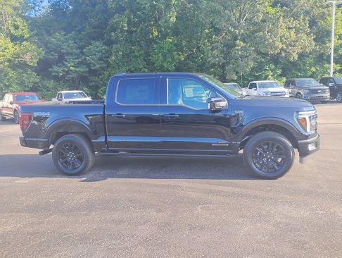 New 2025 Ford F150 Platinum w/ Equipment Group 702A High image 2