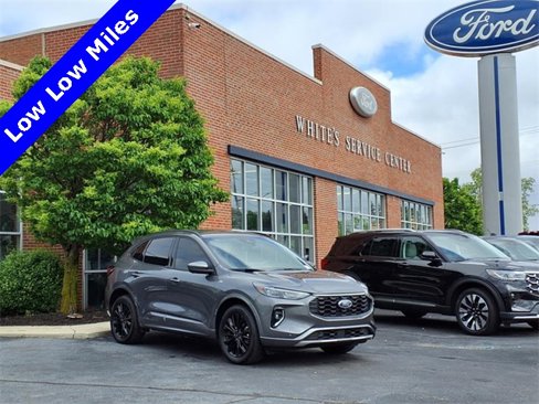 Used 2023 Ford Escape ST-Line Elite image 1