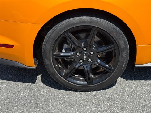 Used 2019 Ford Mustang GT w/ Black Accent Package image 30