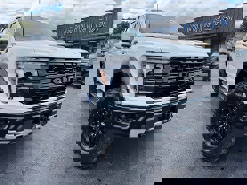 New 2025 Ford F150 Raptor image 1