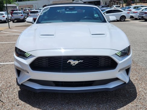 Used 2022 Ford Mustang Premium image 7