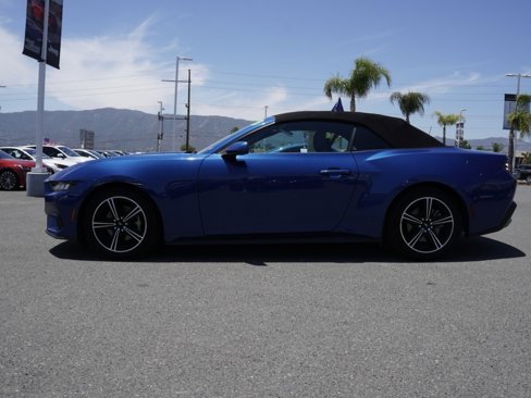 Used 2024 Ford Mustang EcoBoost image 8