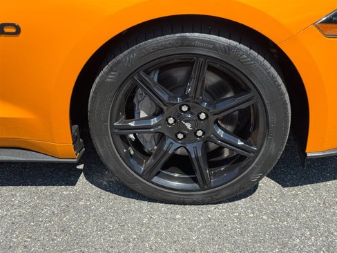 Used 2019 Ford Mustang GT w/ Black Accent Package image 29