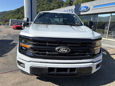 New 2025 Ford F150 XLT w/ Equipment Group 302A MID image 12