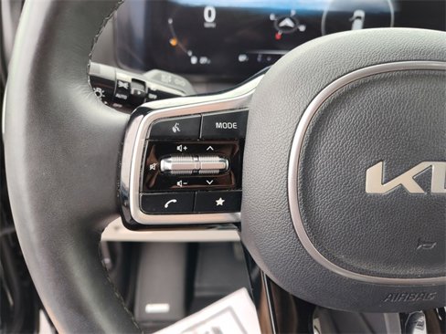 Used 2024 Kia Carnival SX Prestige image 24