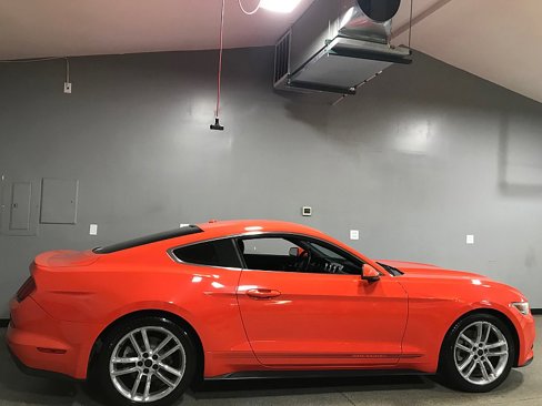 Used 2016 Ford Mustang Premium w/ Equipment Group 201A image 2