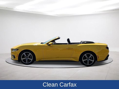 Used 2024 Ford Mustang Convertible image 4