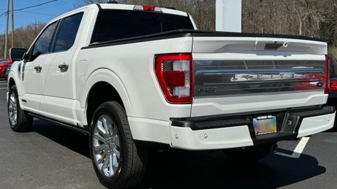 Used 2023 Ford F150 Limited image 6