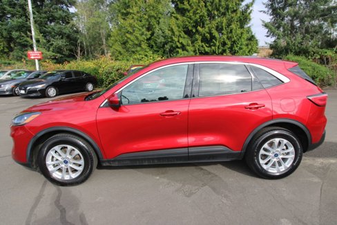 Used 2021 Ford Escape SE image 2