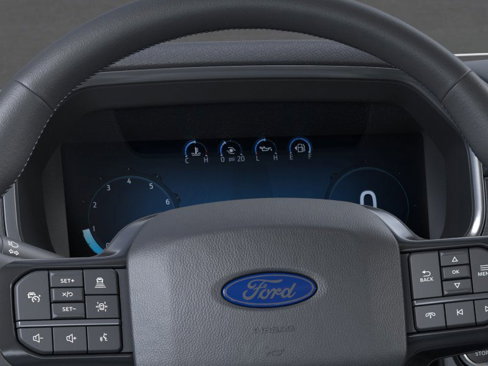 New 2025 Ford F150 Platinum w/ FX4 Off-Road Package image 13