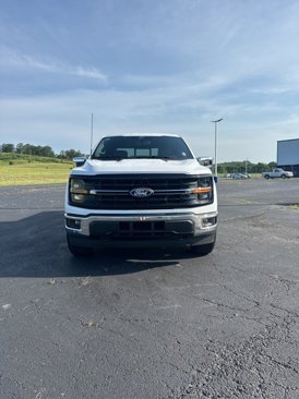 New 2025 Ford F150 XLT w/ Equipment Group 302A MID image 8