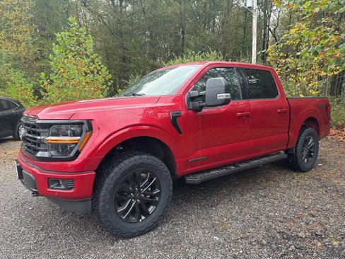 New 2025 Ford F150 XLT w/ Equipment Group 303A High image 5