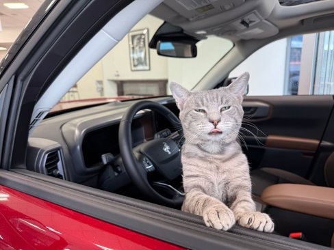 New 2026 Ford Escape Active image 8