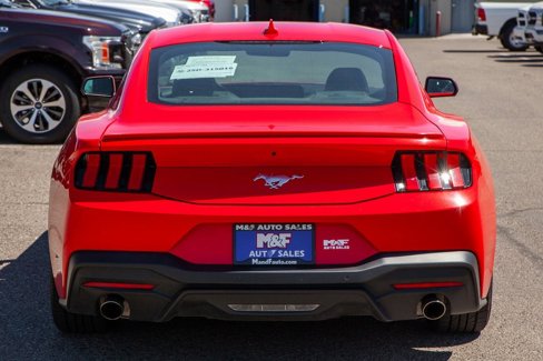 Used 2024 Ford Mustang Premium image 6