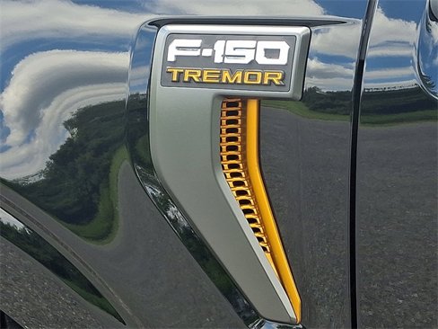 Used 2025 Ford F150 Tremor w/ Equipment Group 402A High image 33