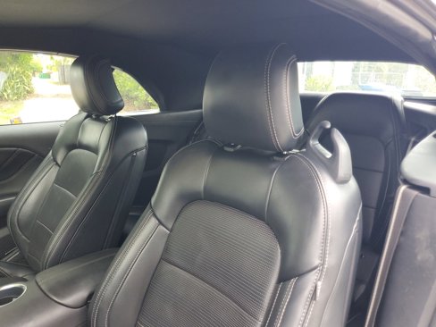 Used 2024 Ford Mustang Premium image 14