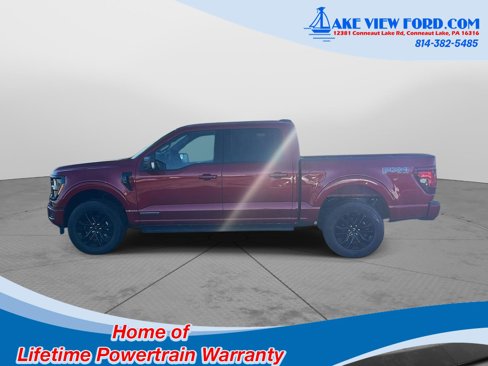 New 2025 Ford F150 XLT w/ Equipment Group 302A MID image 15